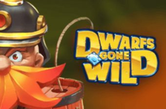 Dwarfs Gone Wild